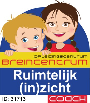 Ruimtelijk zicht en inzicht Coach