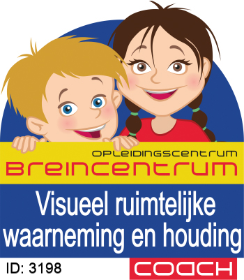 Visueel ruimtelijke waarneming en houding Coach