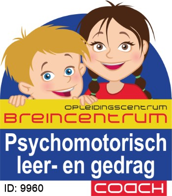 Psychomotorisch leer- en gedragsspecialist
